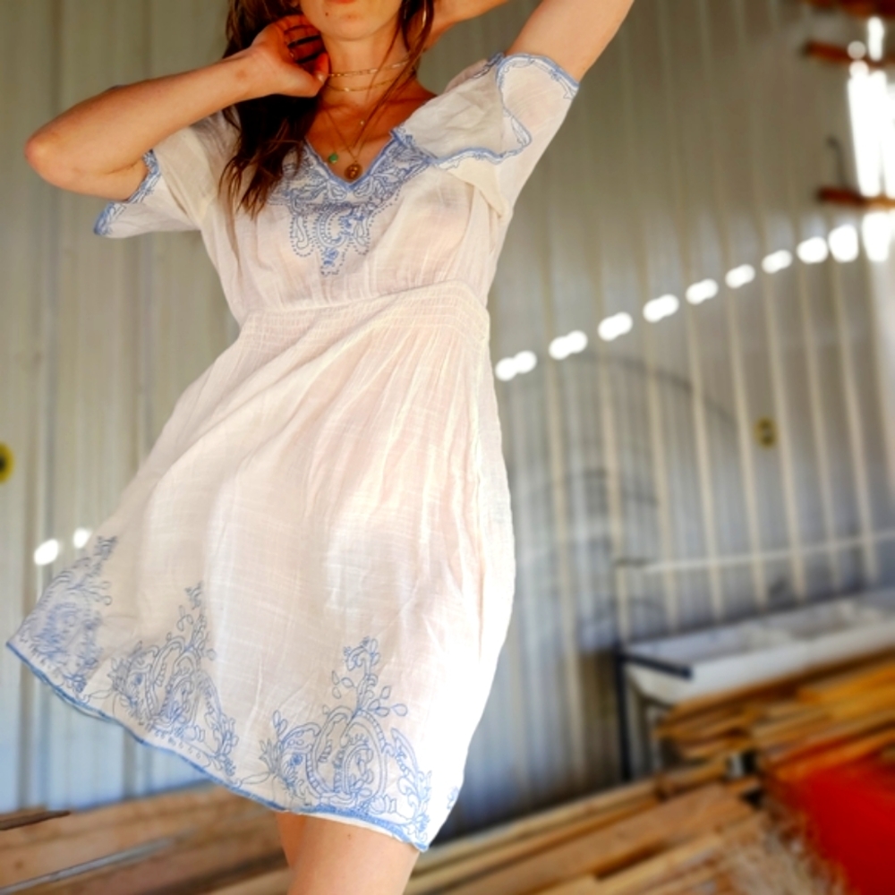 sheer white w/ baby blue embroidery and slit sleeves dainty sexy spring dress